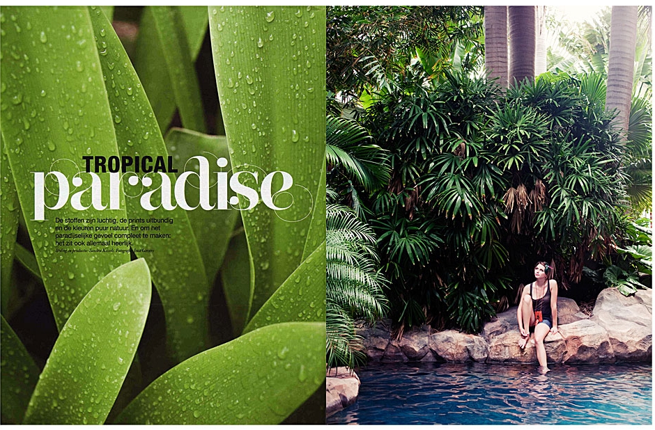 tropical-1