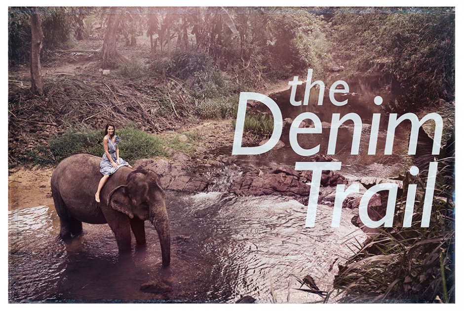 #htmlcaption1485 Olifant-1-site